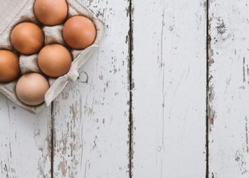 Beyond the Hype: A New Blueprint for Protein and Arthritis—How I Learned to Stop Fighting Food and Start Healing My Joints