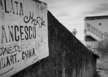 A Comparative Analysis of Cigna and Aetna: Strategy, Performance, and Member Experience