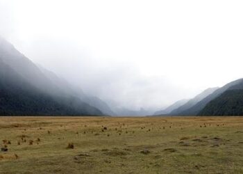 Beyond Broken: Why I Stopped Trying to ‘Fix’ My Pain and Sleep—And What I Did Instead