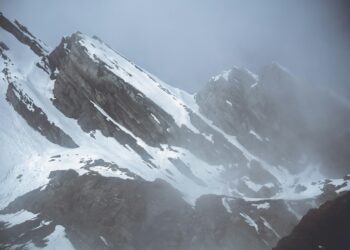 The Summit and the Ledge: A Mountaineer’s Guide to Conquering Your Health Insurance Costs
