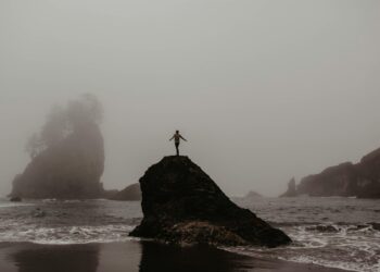 The Chasm Within: How Six Simple Words Redefined My Mission to Heal Healthcare