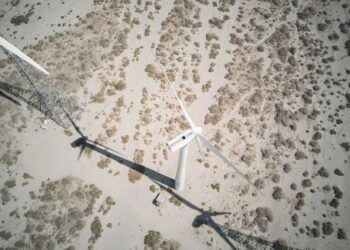 The Barren Field: How I Learned to See Federal Aid Not as a Maze, but as an Ecosystem in Need of Tending