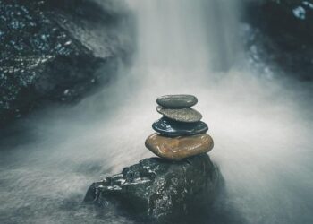 Beyond the Number: The Unseen Currents of Medicaid and the 80 Million Lives in the Balance