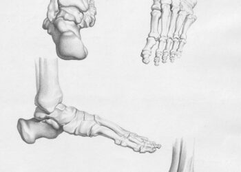Beyond Dehydration: A New Blueprint for Understanding and Overcoming Neuropathy-Driven Leg Cramps
