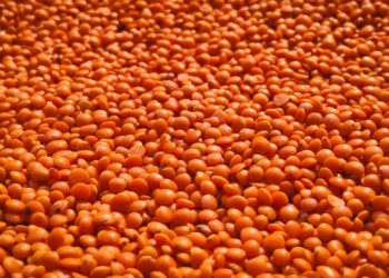 The Definitive Guide to a Prediabetes Diet: Reclaiming Your Health Through Evidence-Based Nutrition and Sustainable Lifestyle Change