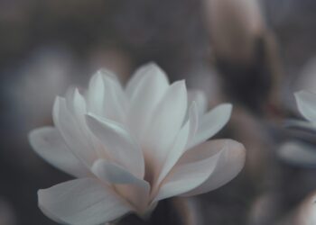 More Beautiful for Having Been Broken: A Kintsugi Guide to Remaking Your Life with Chronic Illness