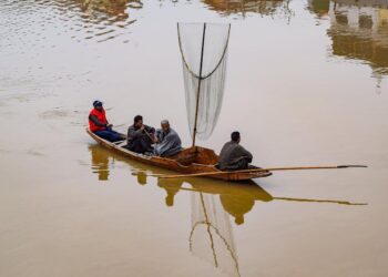 Rewilding the System: A New Map for Navigating Multiple Sclerosis