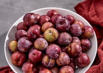 The HMO Paradox: How I Turned 15 Years of Frustration into a Simple Framework for Mastering Your Health Plan